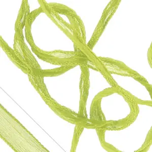 Prezzo Di Fabbrica Ruban en soie Anis x1m