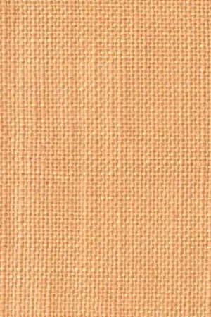 Ordina Subito Tela da ricamo - Tela di lino 12 fili di tè in coupon o al metro - LMC