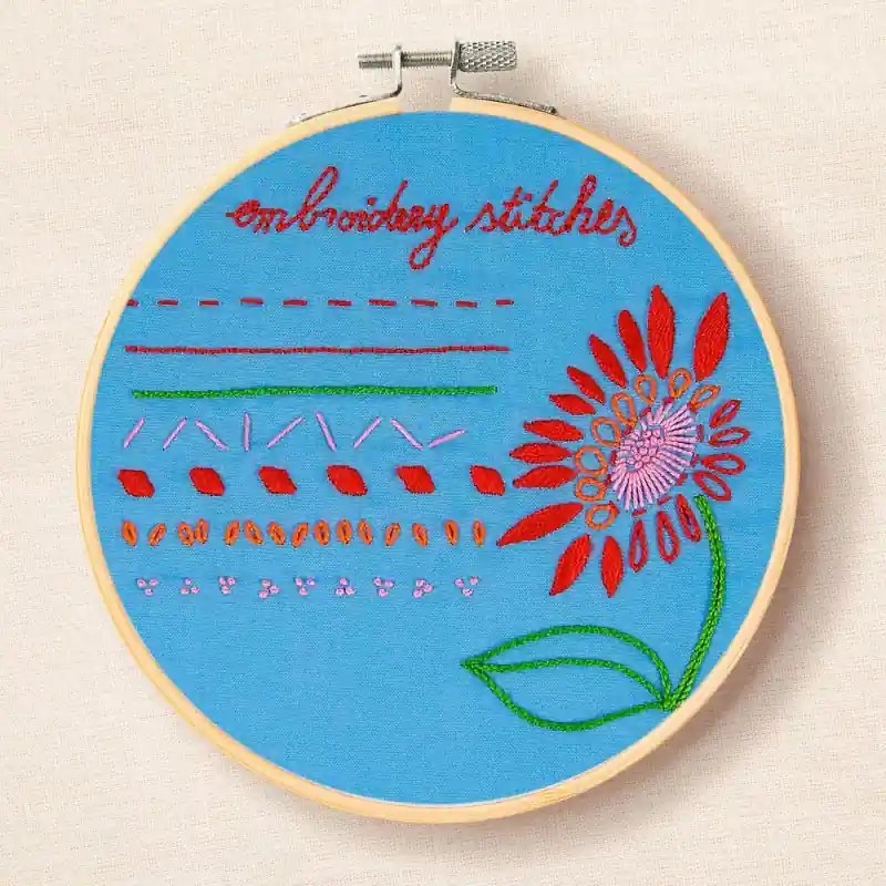 Kit di Iniziazione al Ricamo - DMC Spedizione Espresso