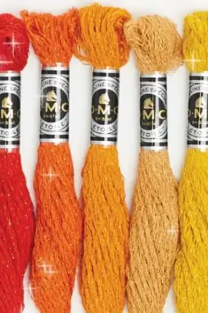 Filo per ricamo - Mouliné Etoile - Art.617 - DMC Spedito Oggi