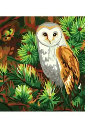 Canovaccio antico - Civetta - Collection d'Art Promo Stagionale