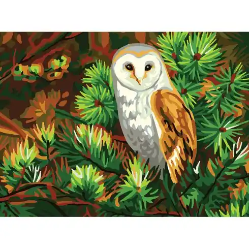 Canovaccio antico - Civetta - Collection d'Art Promo Stagionale