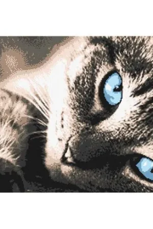 kit ricamo a punto croce - Gatto tigrato - Marie Coeur Ultima Occasione