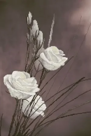 Acquista Ora kit ricamo a punto croce - Fascino - Nova Sloboda