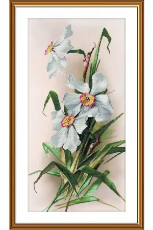 Kit di Ricamo - Daffodils - Nova Sloboda Acquista Ora