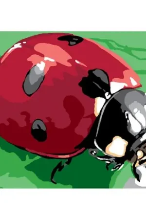 Miglior Prezzo Canovaccio antico - Coccinella - Luc Créations