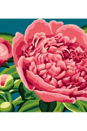 Offerta Limitata Canovaccio antico - Peonie - Luc Créations