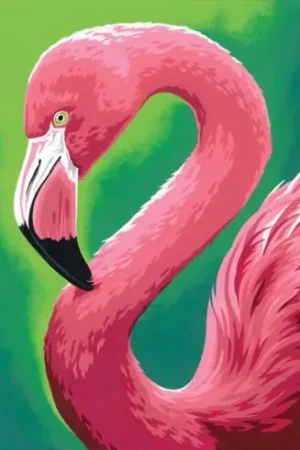 Bestseller Kit di pittura per numero - Divertimento di fenicottero rosa - Dimensions