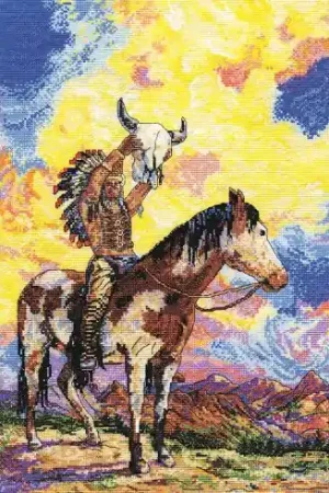 Prezzo Ridotto kit ricamo a punto croce - Tramonto dei nativi americani - Design works