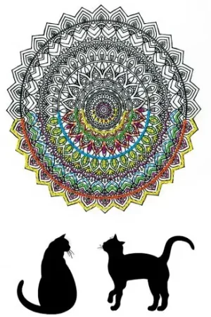 Must-Have Tela predisegnata - Mandala gatto - Zenbroidery