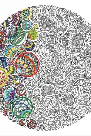 Nuova Collezione Tela predisegnata - Ornamento  - Zenbroidery