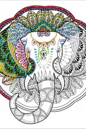 Tela predisegnata - Elefante - Zenbroidery Miglior Prezzo