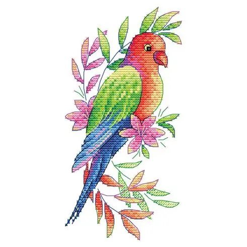 Novità Kit di personalizzazione - Pappagalli - MP Studia