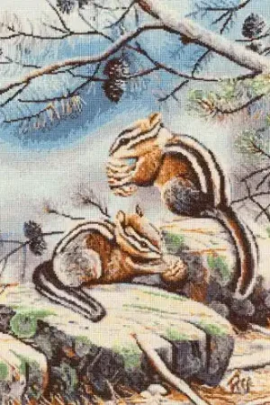 kit ricamo a punto croce - Scoiattoli - Toison d'or Prezzo Scontato