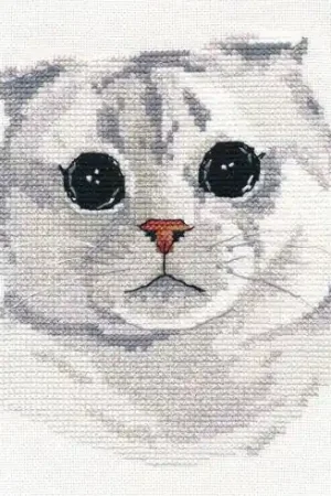 kit ricamo a punto croce - Piega scozzese - Oven Offerta Limitata