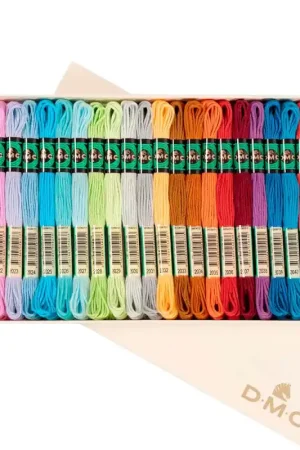 Compra Adesso Scatola da Collezionista con 24 Matasse di Filo da Ricamo DMC Retors Mat