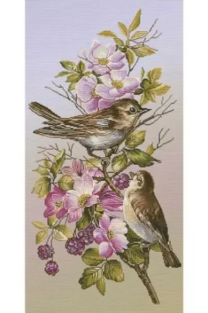 kit ricamo a punto croce - Cinguettii - Nova Sloboda Soddisfatti O Rimborsati