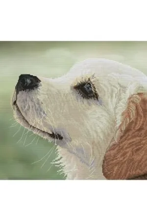 kit ricamo a punto croce - Vero amico - Nova Sloboda Spedito Oggi