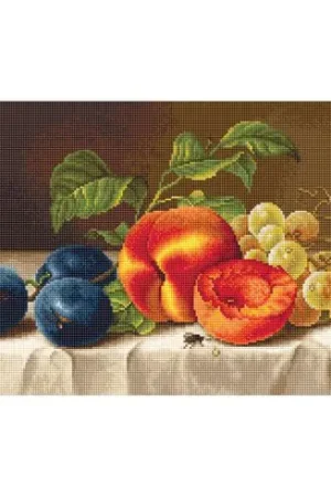 A Buon Prezzo kit ricamo a punto croce - Natura morta 1 - Luca-S