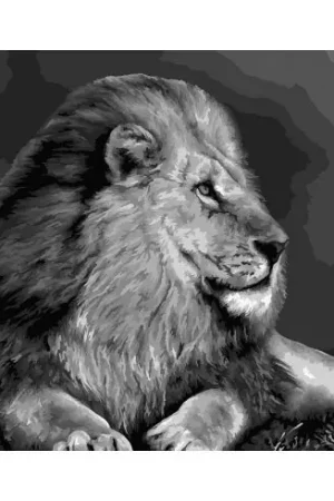 Kit di pittura per numero - Re degli animali - Wizardi Spedizione Gratuita