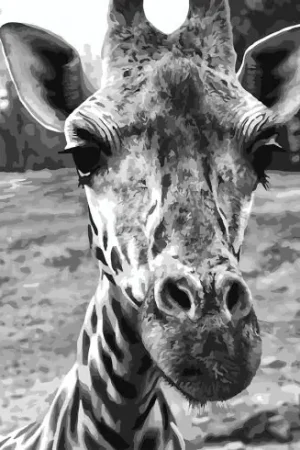 Kit di pittura per numero - Giraffa curiosa - Wizardi Offerta Speciale