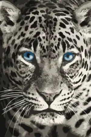 Kit di pittura per numero - Leopardo dagli occhi blu - Wizardi Compra Adesso