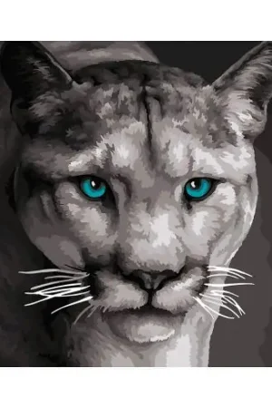 Prezzo Conveniente Kit di pittura per numero - Leonessa a caccia - Wizardi