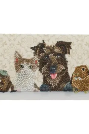 Vendita Finale Carta con ricamo a diamante - Animali domestici - Crystal Art D.I.Y