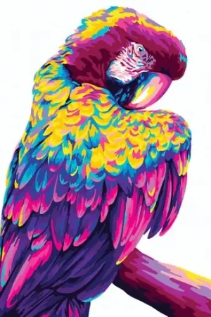 Popolare Kit di pittura per numero - Pappagallo Pop art - Wizardi