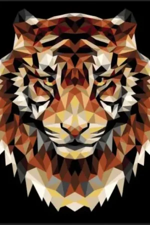 Kit di pittura per numero - Tigre poligonale - Wizardi Offerta Lampo