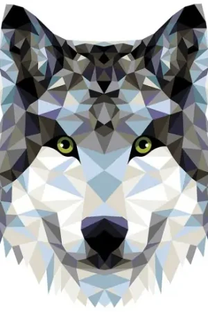 Sconto Kit di pittura per numero - Lupo poligonale - Wizardi