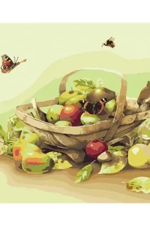 Offerta Kit di pittura per numero - Frutti estivi - Lanarte