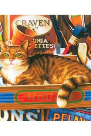 Offerta Speciale Kit di pittura per numero - Segni di gatto - Dimensions