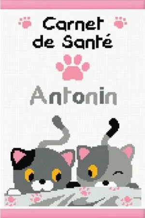 Occasione Kit per la copertina del libro a ricamo - Piccoli gatti - Princesse