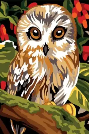 Popolare Canovaccio antico - Civetta - SEG de Paris