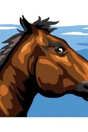 Subito Disponibile Kit di tela per bambini - Cavallo - Margot de Paris