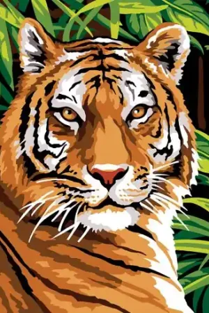 Canovaccio antico - Giungla in pausa - SEG de Paris Ultima Occasione