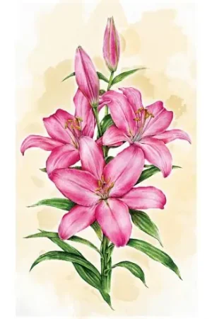 Offerta Kit ricamo diamante - Giglio - Wizardi