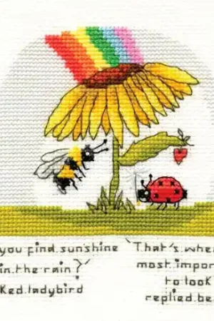 kit ricamo a punto croce - Trova il sole - Bothy Threads Super Prezzo