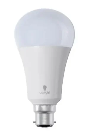 Scelto Dai Clienti Lampadine - Lampadina LED da 15W con baionetta - Daylight