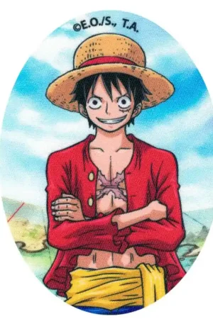 Ordina Subito Toppa Termoadesiva Ovale One Piece -Luffy Cappello di Paglia