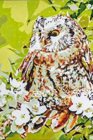 Spedito Oggi Kit di pittura per numero - Gufo tra i fiori - Vervaco