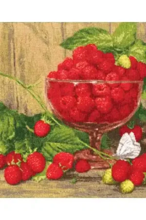kit ricamo a punto croce - Lamponi dopo Catherine Kalinovskaya - Toison d'or A Buon Prezzo