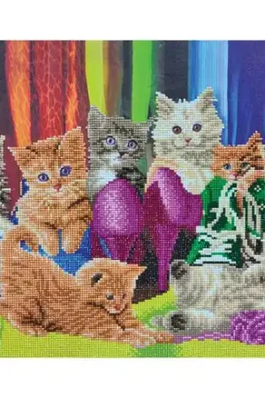 Kit ricamo diamante su telaio - Scarpe per gattini - Crystal Art D.I.Y Nuova Collezione