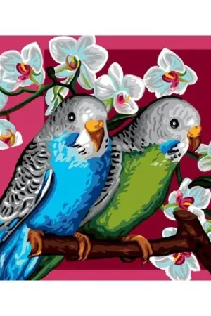 Canovaccio antico - La vita a colori - Luc Créations Ordina Subito