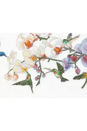 kit ricamo a punto croce - Aroma tropicale - Charivna Mit Prezzo Ridotto