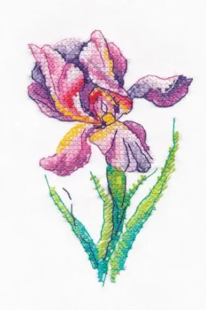 Ultima Occasione Kit di personalizzazione - Fiore dell'arcobaleno - Oven