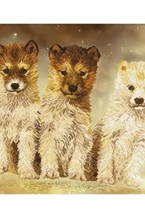 Più Venduto kit ricamo a punto croce - Camminare insieme - Nova Sloboda