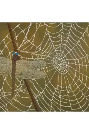 Kit di ricamo con perline - Collana della foresta - Nova Sloboda Offerta Lampo