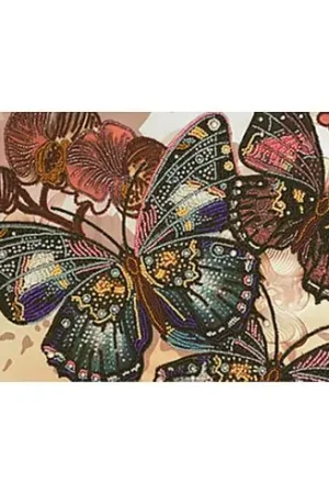 Kit di ricamo con perline - farfalle - Nova Sloboda Spedizione Gratuita